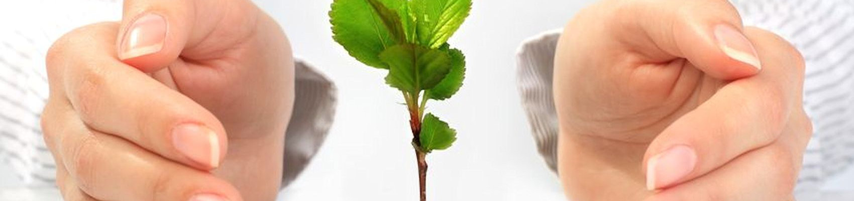 Benefits of Working with PWJohnson