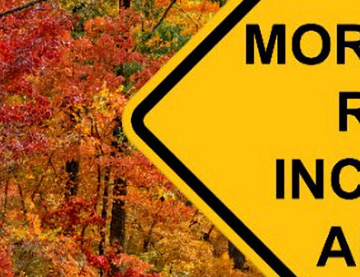 Higher Interest Rates Planning