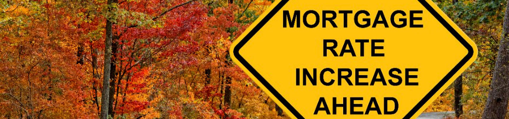 Higher Interest Rates Planning