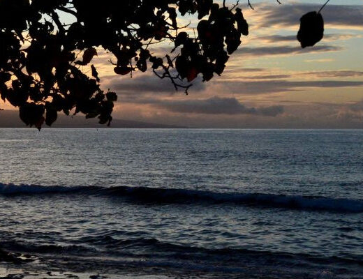 Toward Prosperity for All