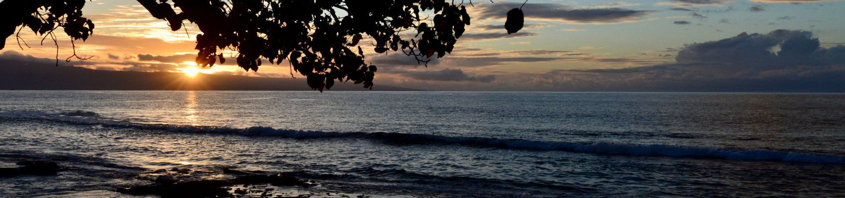 Toward Prosperity for All